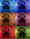 KUQIRMAOERJI Selkirk High-Performance Cat Ear Headphones - Image 3